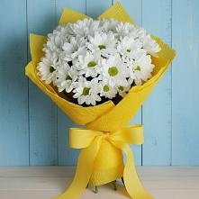 Букет цветов из:  Хризантемы в Сусанино Ленинградская область
