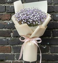 Букет цветов из:  Гипсофила в Сусанино Ленинградская область