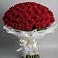 Букет 101 Красная роза Блэк Мэджик в Сусанино Ленинградская область