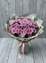 Букет цветов из:  Хризантемы в Сусанино Ленинградская область