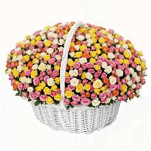 Премиум букет из: Розы в Сусанино Ленинградская область