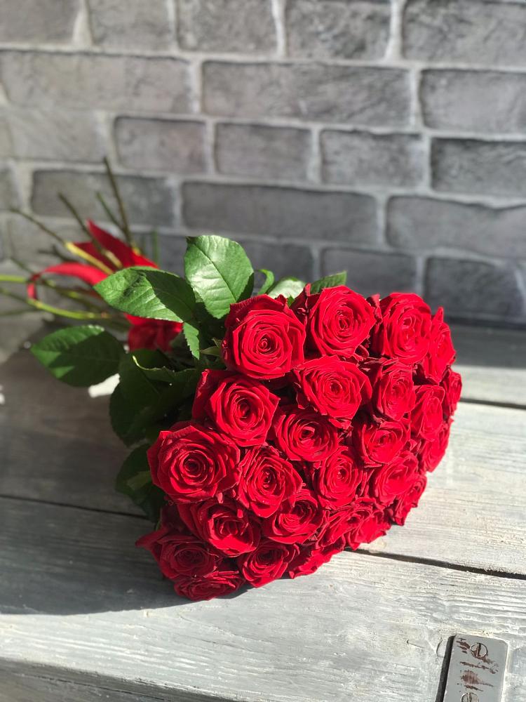 Букет Красные розы Фридом в Сусанино Ленинградская область