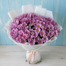 Букет цветов из:  Хризантемы #REPLACE_PRED# Сусанино Ленинградская область