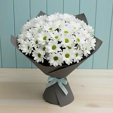 Букет цветов из:  Хризантемы в Сусанино Ленинградская область