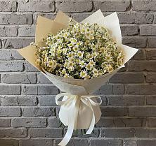 Букет цветов из:  Ромашки в Сусанино Ленинградская область