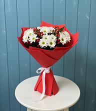 Букет цветов из:  Хризантемы в Сусанино Ленинградская область