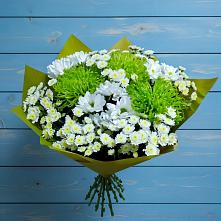 Букет цветов из:  Хризантемы в Сусанино Ленинградская область