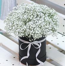 Цветочная композиция из Гипсофила в шляпной коробке #REPLACE_PRED# Сусанино Ленинградская область