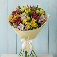 Букет цветов из:  Альстромерии в Сусанино Ленинградская область