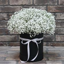 Цветочная композиция из Гипсофила в шляпной коробке в Сусанино Ленинградская область